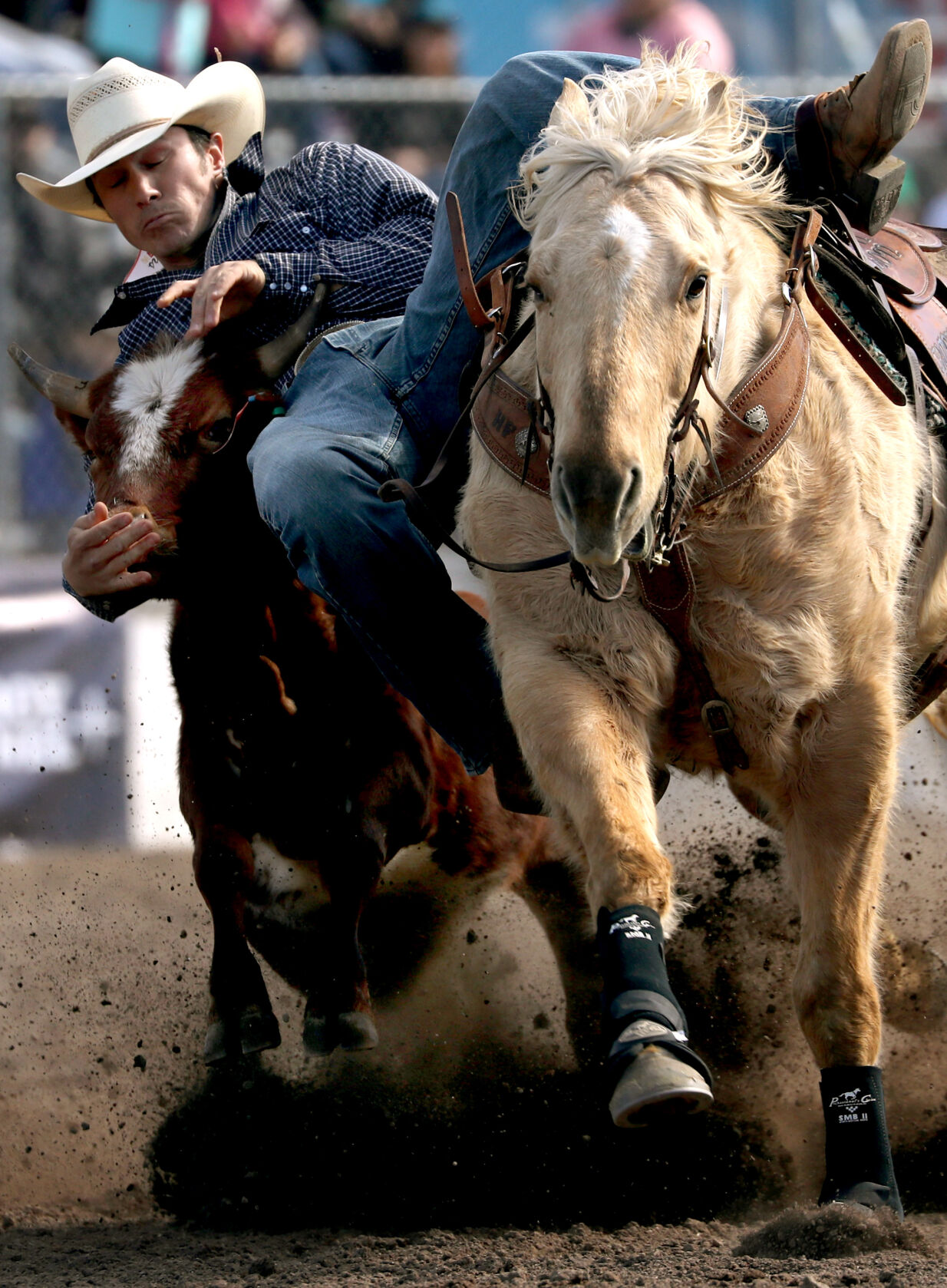 Tucson Rodeo